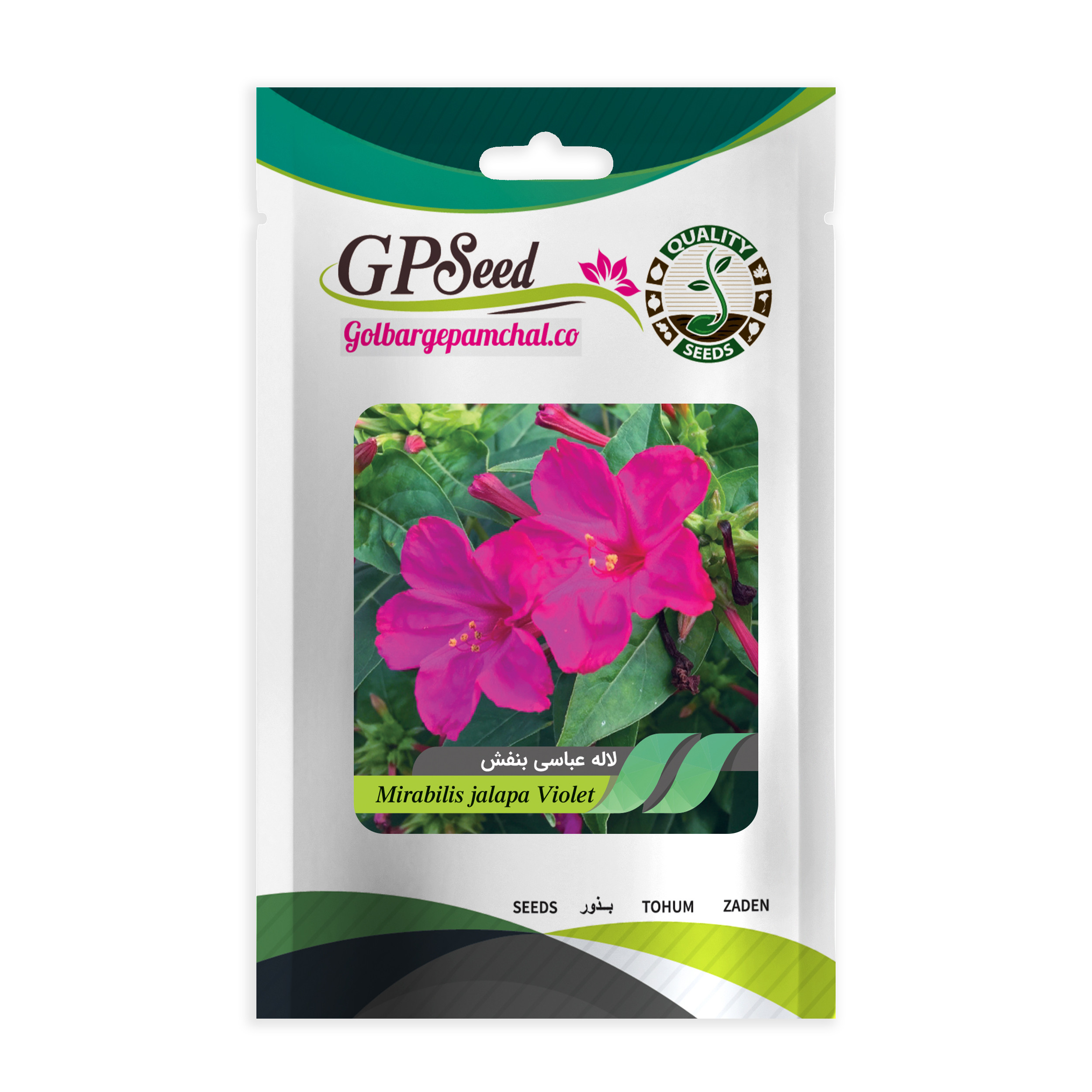 بذر گل لاله عباسی گلبرگ پامچال کد G-P-GP-06 مجموعه 6 عددی بذر گل لاله عباسی گلبرگ پامچال کد G-P-GP-06 مجموعه 6 عددی