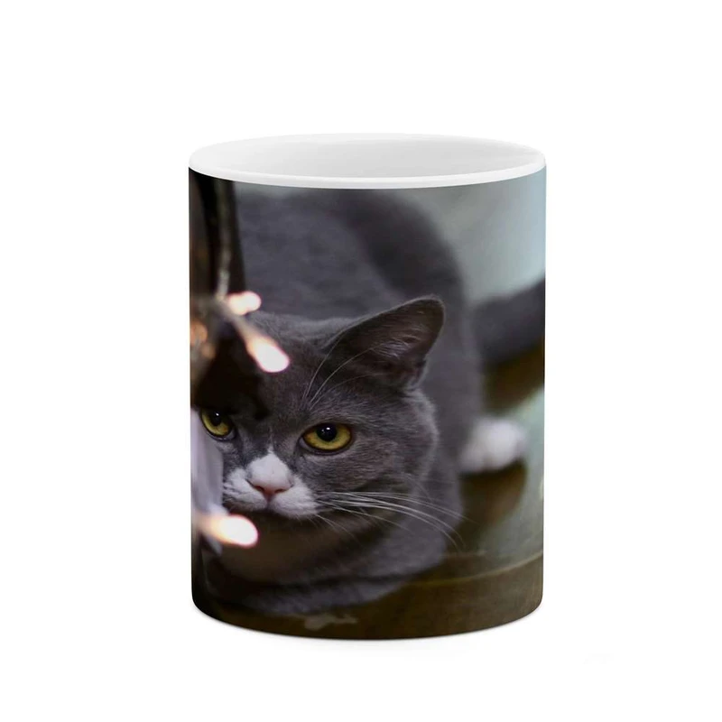 ماگ کاکتی مدل گربه کد mgh16745