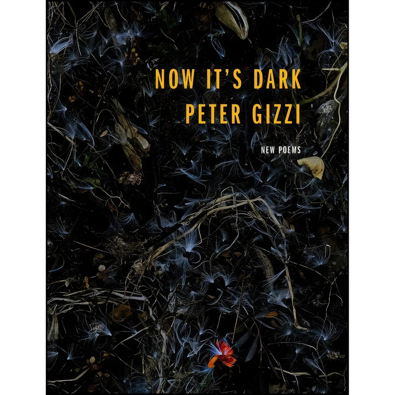 کتاب Now Its Dark  اثر Peter Gizzi انتشارات Wesleyan University Press 