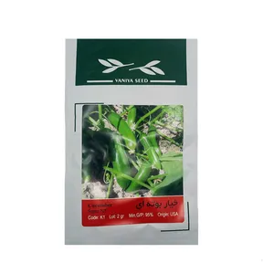 بذر خیار بوته ای وانیا سید مدل k1