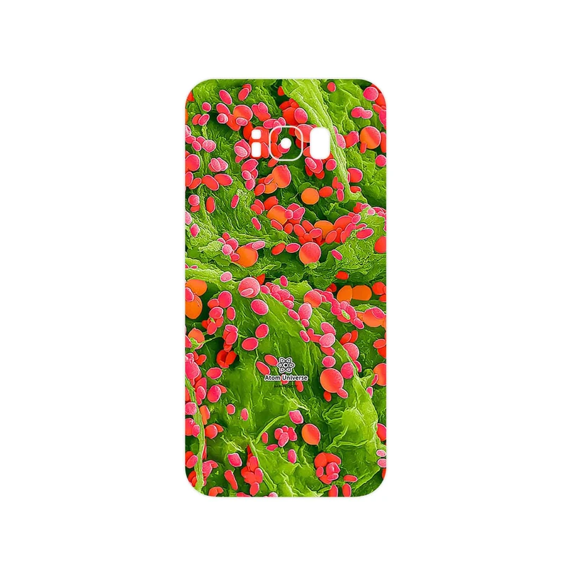 برچسب پوششی ماهوت مدل Atom Universe 3 مناسب برای گوشی موبایل سامسونگ Galaxy S8 Plus