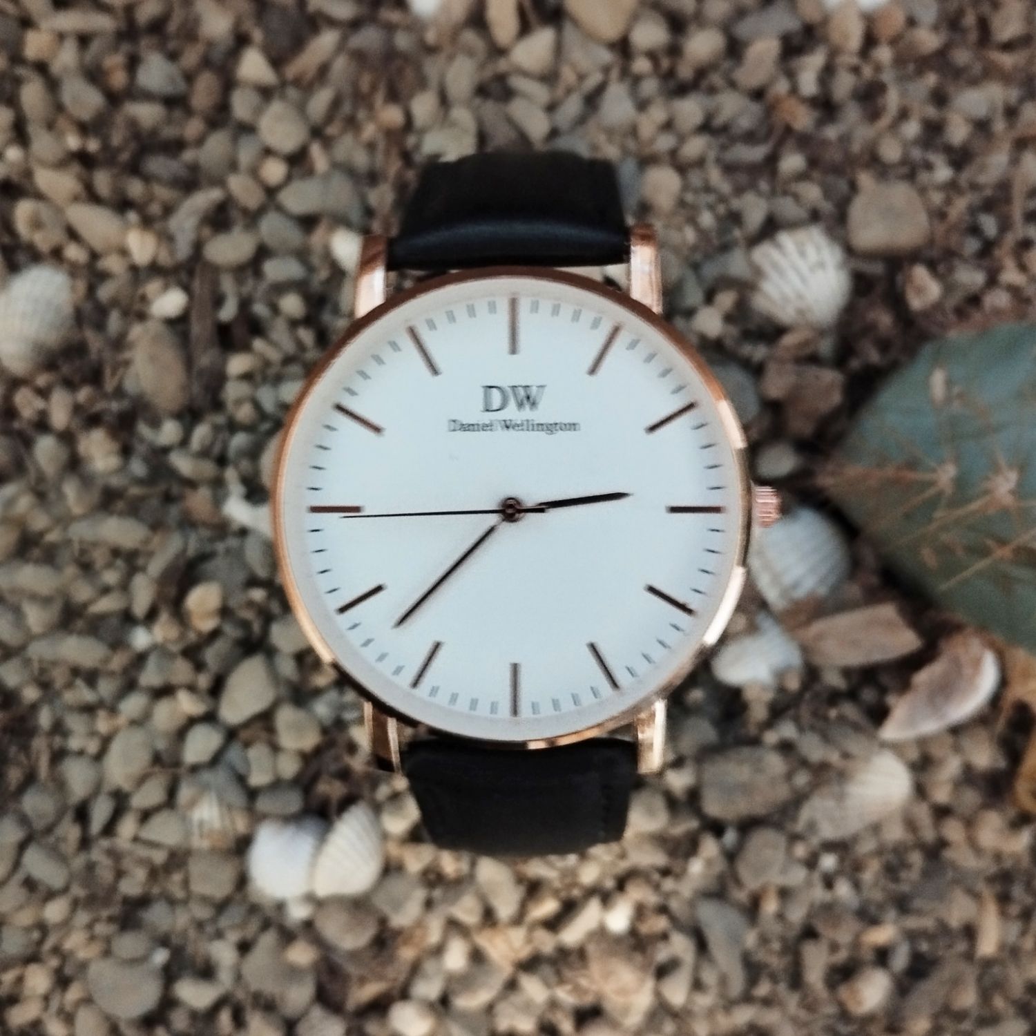 ساعت مچی عقربه ای زنانه مدل Dw 6864 - - 2