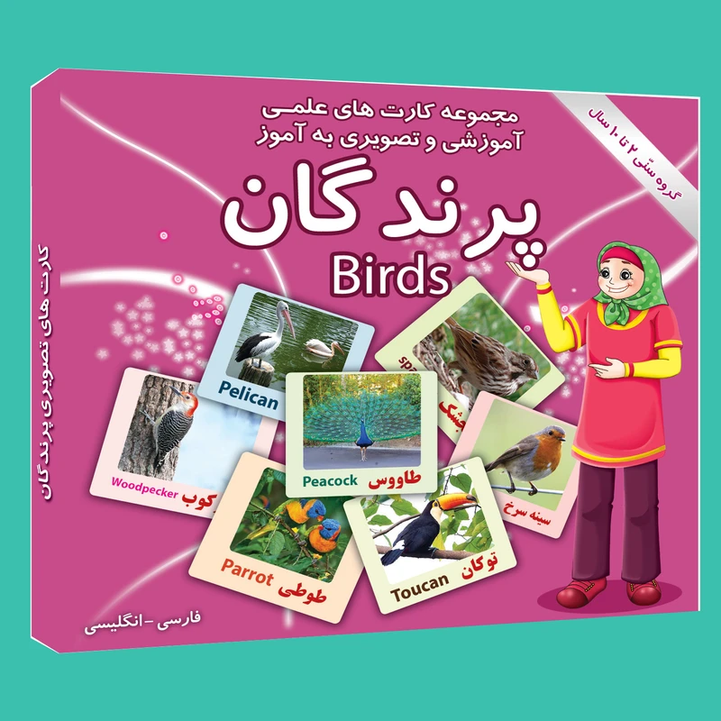 فلش کارت علمی آموزشی و تصویری به آموز آشنایی با پرندگان انتشارات امین آذر