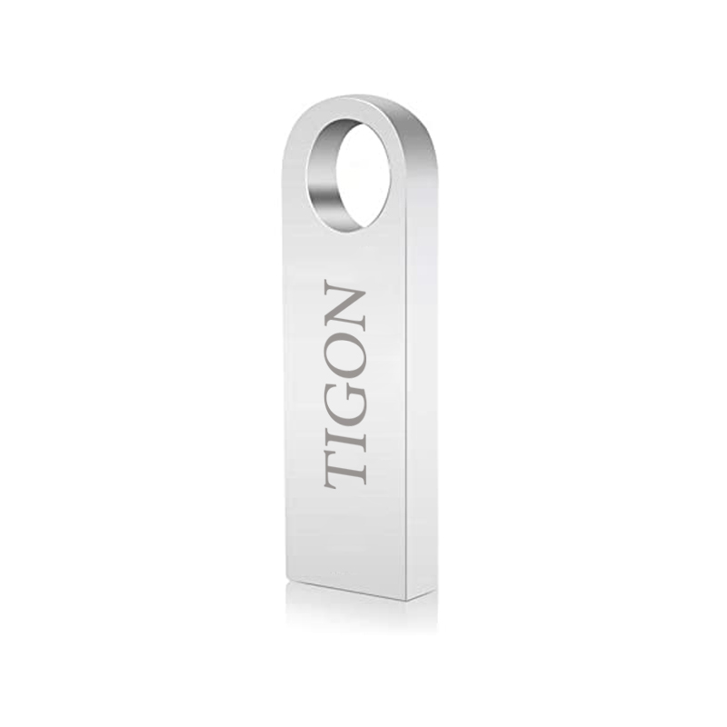 فلش مموری تایگون مدل P221 ظرفیت 4 گیگابایت USB 2.0