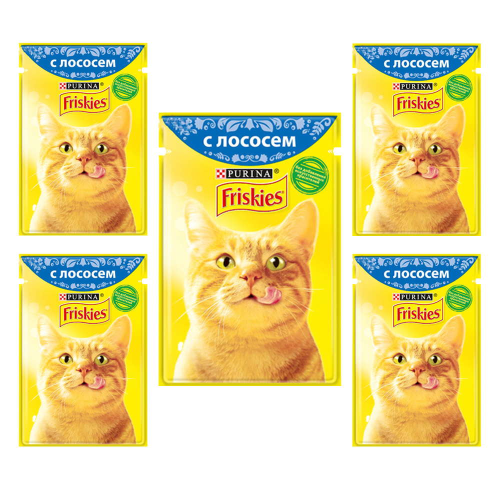 غذای پوچ گربه فریسکیز مدل سالمون وزن 85 گرم بسته 5 عددی