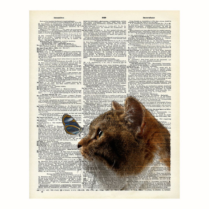 پوستر مدل  تصویر پروانه بر روی گربه 