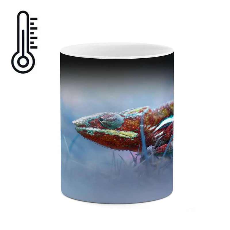 ماگ حرارتی کاکتی مدل فانتزی کد mgh17286