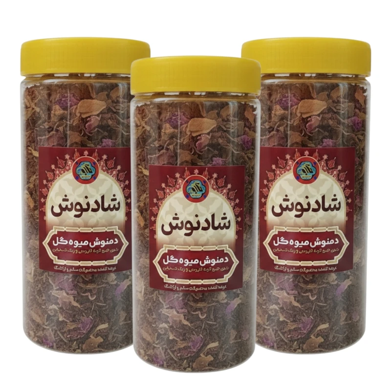 دمنوش میوه ای شادنوش - ۲۰۰ گرم بسته سه عددی