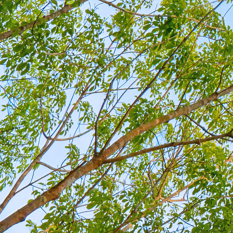 تایل سقفی آسمان مجازی مدل SK-445 سایز 60x60 سانتیمتر بسته 4 عددی