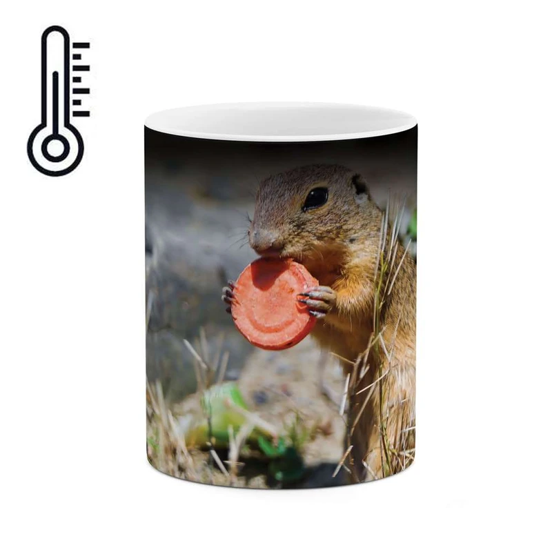 ماگ حرارتی کاکتی مدل سنجاب کد mgh10099