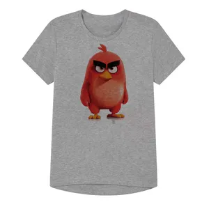 تی شرت آستین کوتاه پسرانه مدل پرندگان خشمین کد Z41 رنگ طوسی