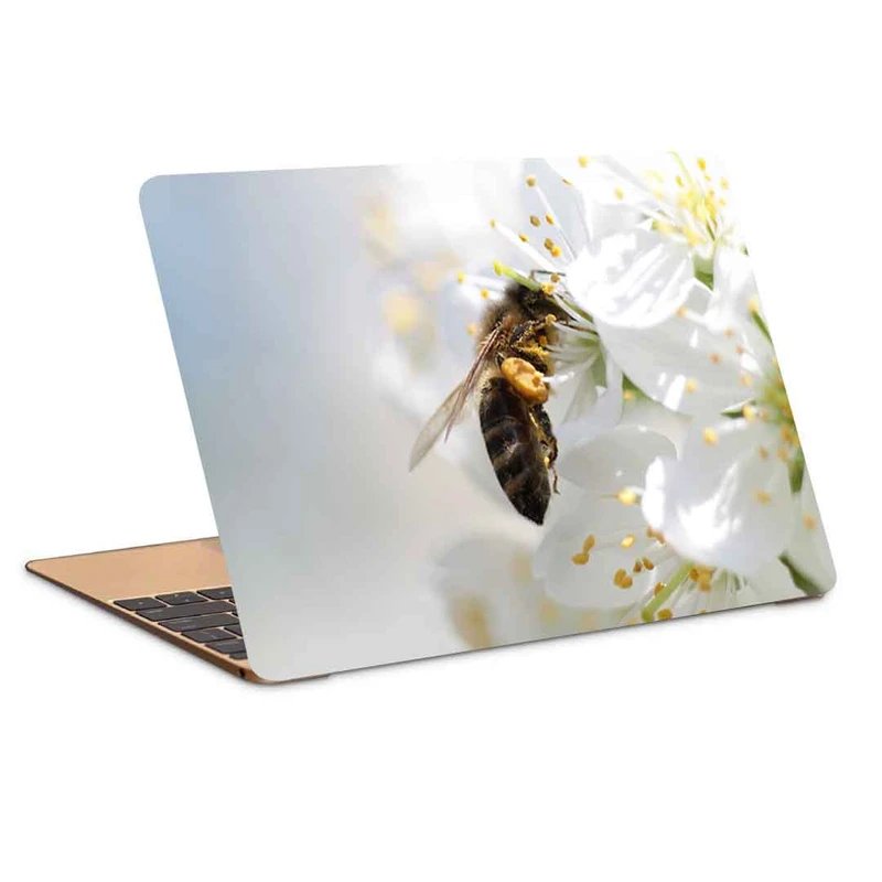 استیکر لپ تاپ طرح bee-21 کد P-625 مناسب برای لپ تاپ 15.6 اینچ