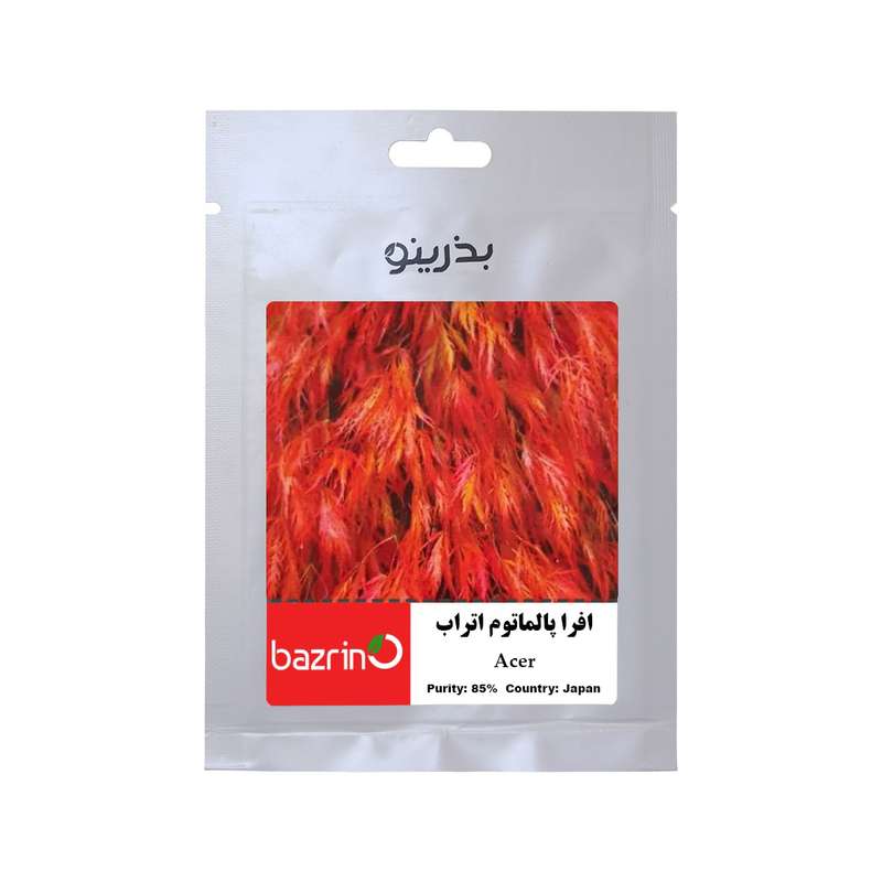 بذر بنسای افرا پالماتوم اتراب بذرینو کد BZNO-086 بذر بنسای افرا پالماتوم اتراب بذرینو کد BZNO-086