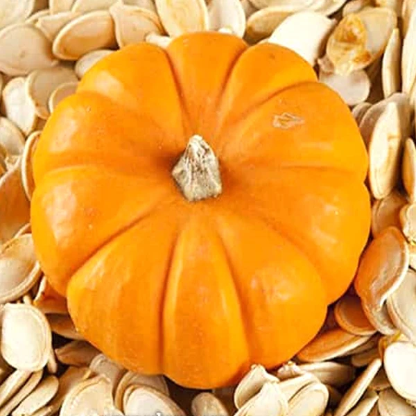 عکس شماره 2 : تخمه کدو تنبل سحرانا-200 گرم