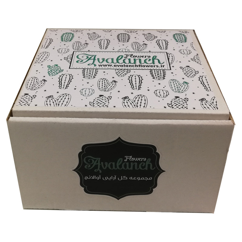 گیاه طبیعی کاکتوس کد P.A.024 مجموعه 5 عددی