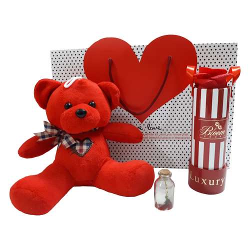 ست هدیه عروسک طرح خرسی مدل love-love
