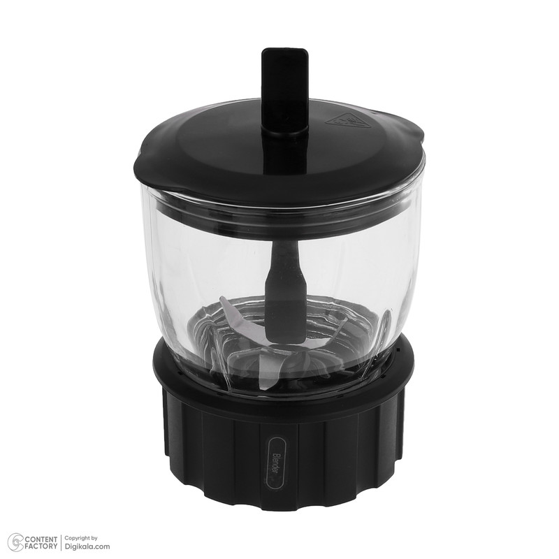 مخلوط کن و آسیاب کن رنه مدل RBCG-1702