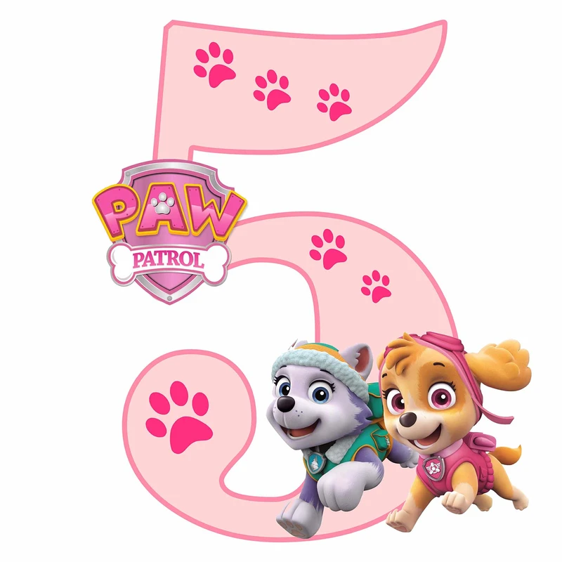 استند رومیزی مدل عدد 5 طرح اسکای کد 1558