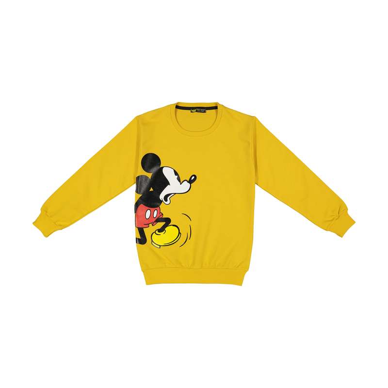 سویشرت پسرانه خرس کوچولو مدل 2011229-16