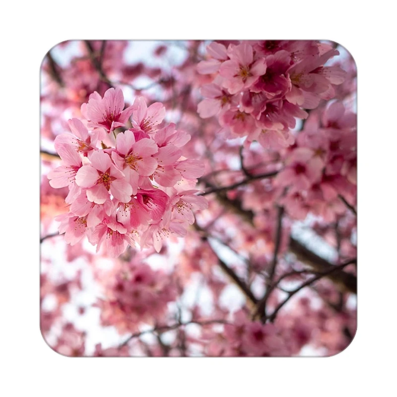 زیر لیوانی کاکتی طرح گل مدل mp16326