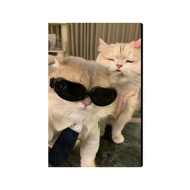 تابلو شاسی عرش مدل فانتزی گربه کد As3111