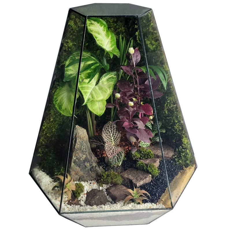 تراریوم ترارتوس مدل ۰۴