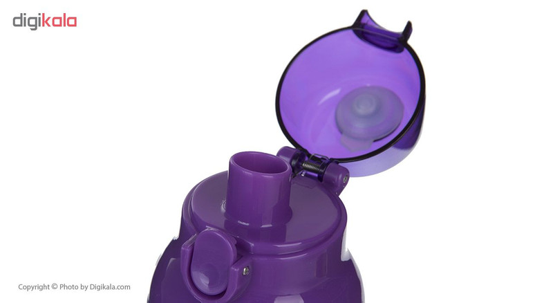 قمقمه کودک مدل Sofia The First ظرفیت 330 میلی لیتر