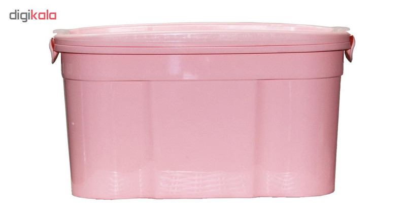 ظرف پودر رختشویی گلدکس مدل GL306