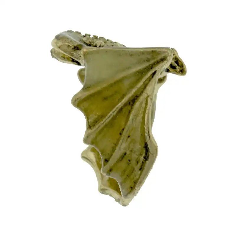 انگشتر مردانه برانت مدل شب تاب مارمولک پرنده