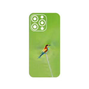 MAHOOT European bee-eater Cover Sticker for Apple iPhone 13 Pro Max