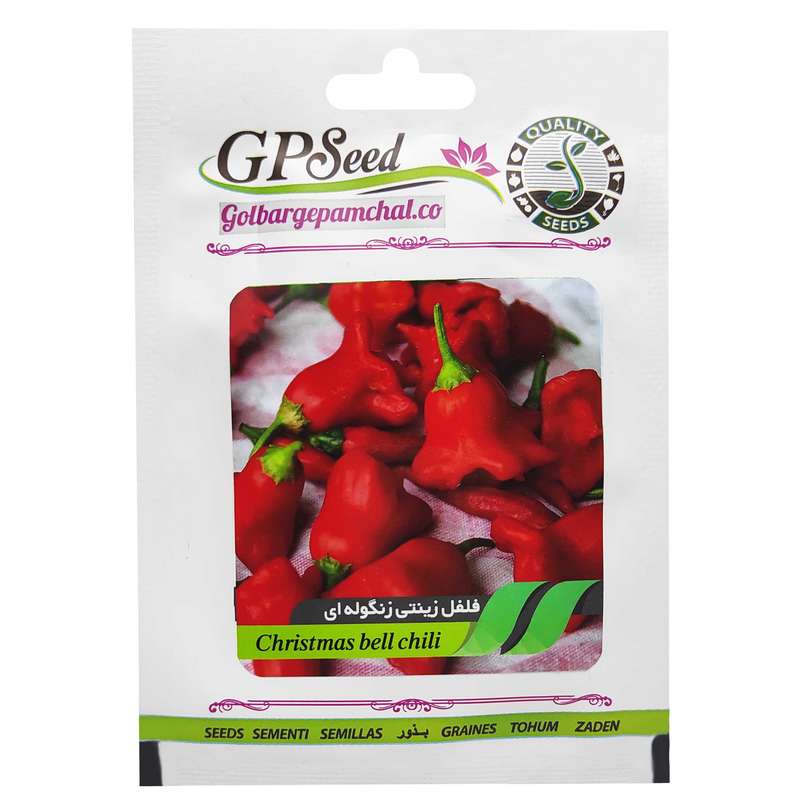 بذر فلفل زینتی زنگوله ای گلبرگ پامچال کد GPF-176