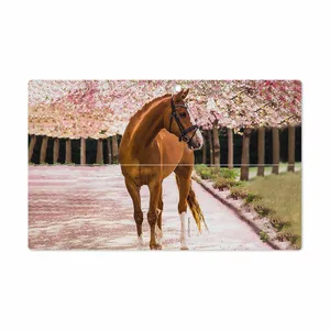 MAHOOT Horse-1 Cover Sticker for Microsoft Surface 2 RT 2013