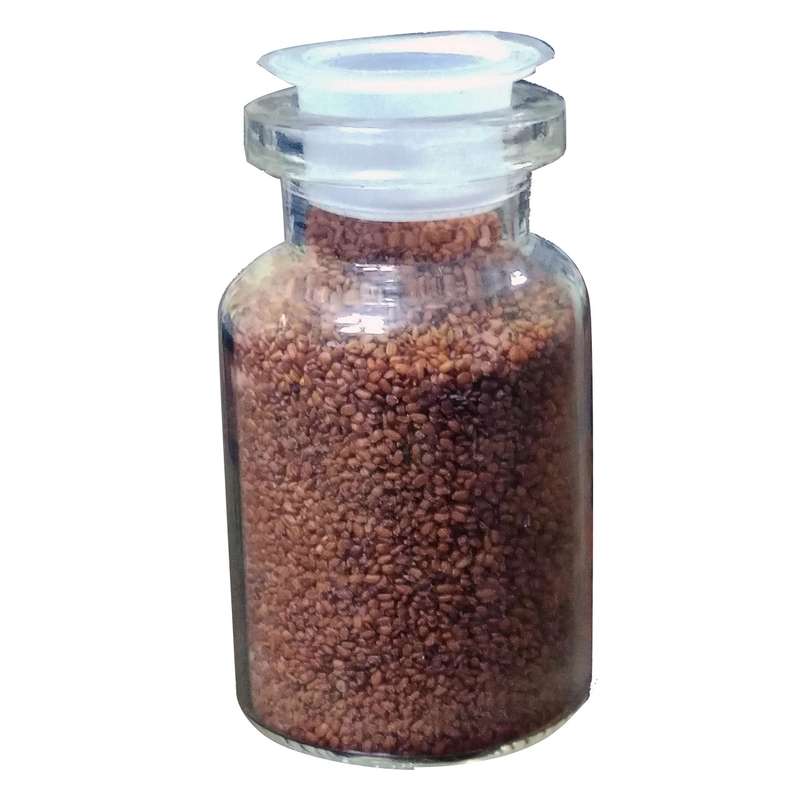 بذر پلنت آکواریوم مدل چمن ریز کوبایی