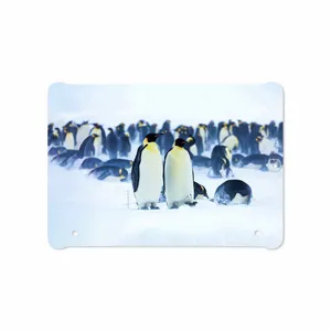 MAHOOT Penguin Cover Sticker for Samsung Galaxy Tab S2 9.7 2015 T815