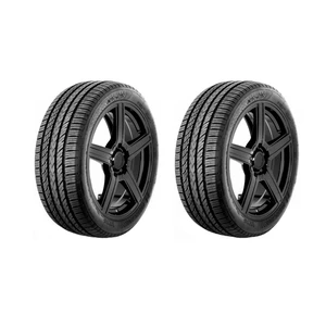 لاستیک خودرو نانکنگ مدل NS25 سایز  215/45R17 - دو حلقه