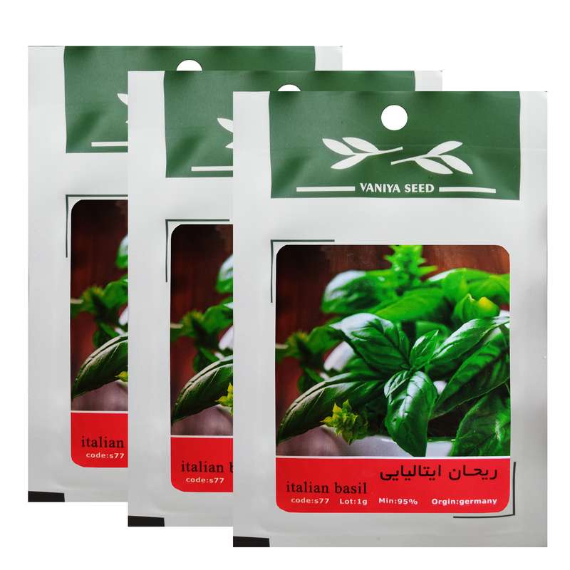 بذر ریحان ایتالیایی وانیا سید کد S77 بسته 3 عددی
