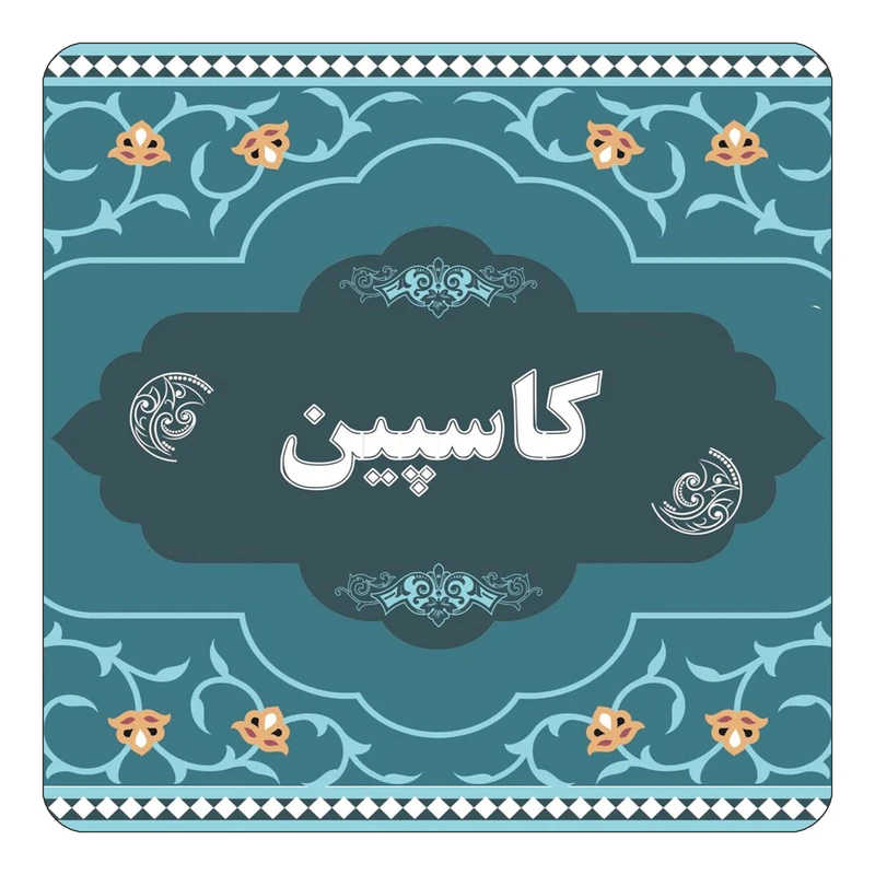 مگنت کاکتی مدل اسم کاسپین کد mn76018