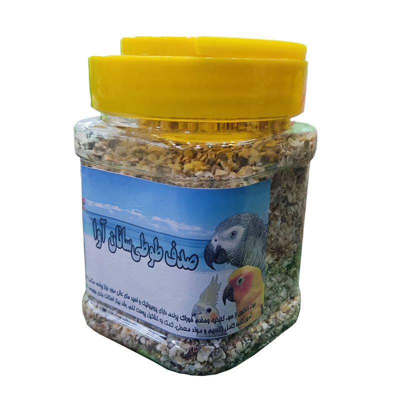 صدف طوطی سانان کد1177 وزن 400 گرم