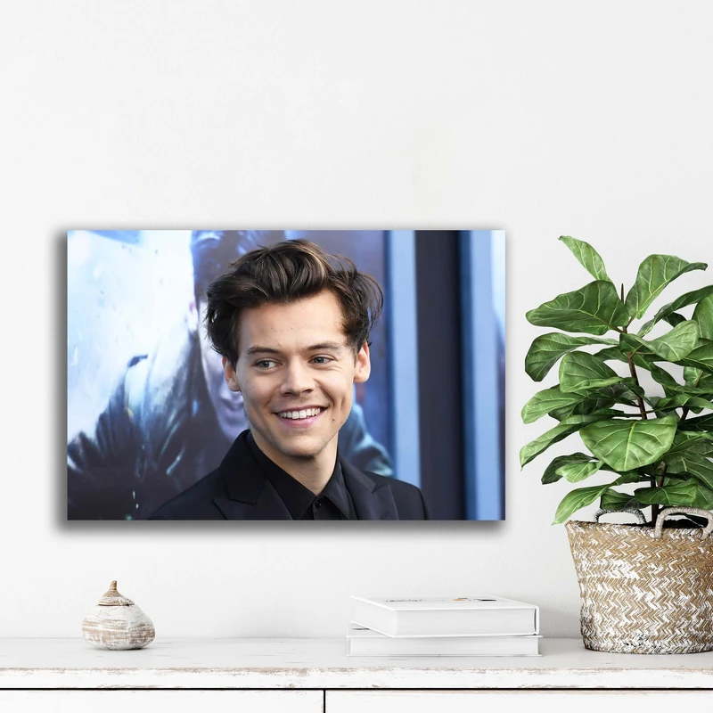 تابلو شاسی آتریسا مدل هری استایلز Harry Styles