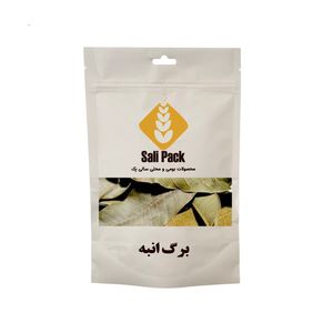 دمنوش برگ انبه سالی پک - 70 گرم