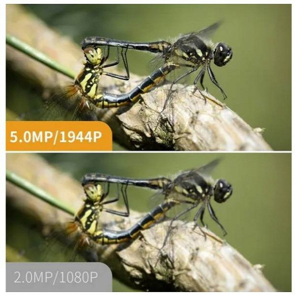 دوربین اندوسکوپی مدل Inskam108