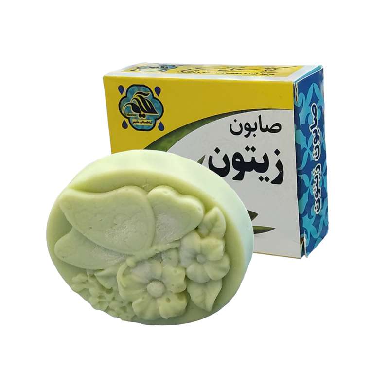 صابون شستشو گیاهستان حکیم مدل زیتون وزن 70 گرم
