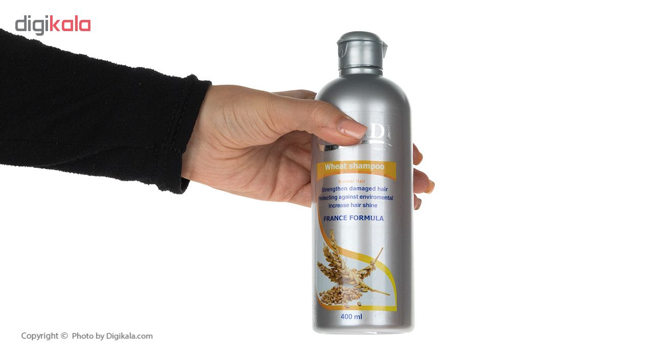 شامپو روزانه هانادی مدل Wheat Germ Protein حجم 400 میلی لیتر