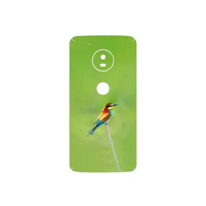 MAHOOT European bee-eater Cover Sticker for Motorola Moto G5