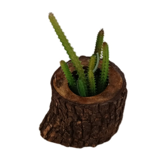 گلدان مدل چوبی کرشمه