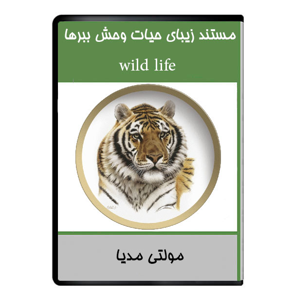 مستند زیبای حیات وحش ببرها نشر دیجیتالی هرسه