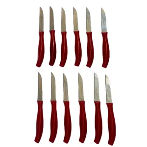 کارد میوه خوری ایکیا مدل دیامونت بسته 12 عددی