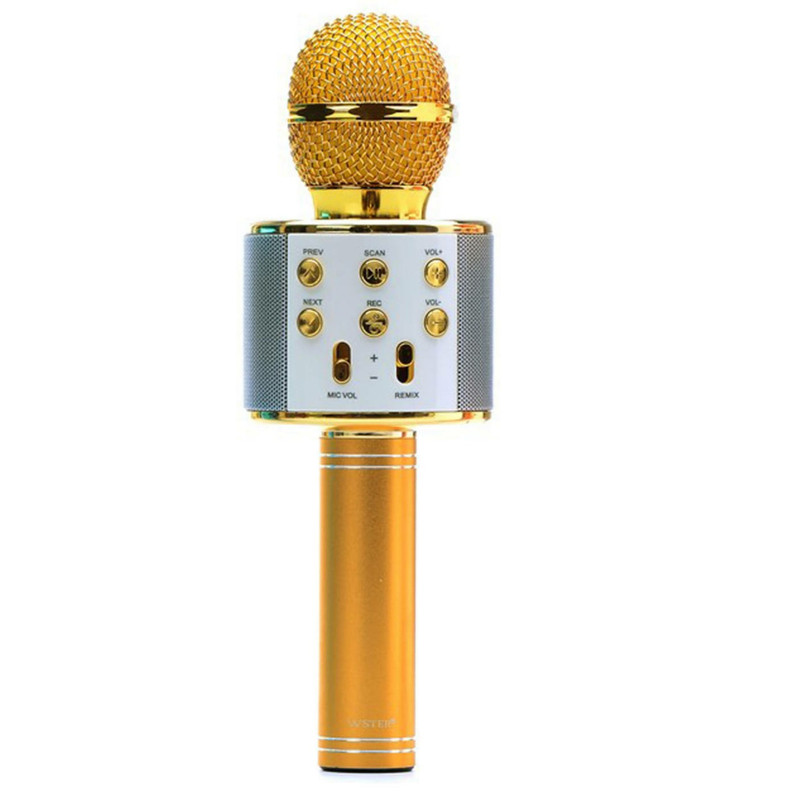 میکروفون اسپیکر مدل WS 858