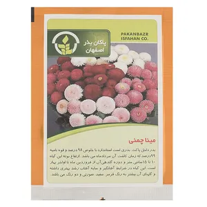 بذر گل مینا چمنی پاکان بذر