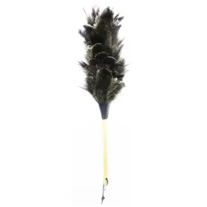 گردگیر  آلین مدل Ostrich Feather 1